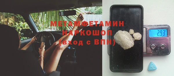 PSILOCYBIN Белокуриха
