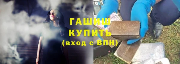 PSILOCYBIN Белокуриха