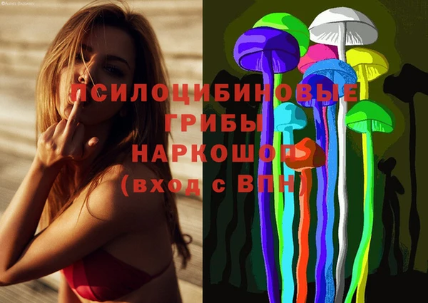 PSILOCYBIN Белокуриха