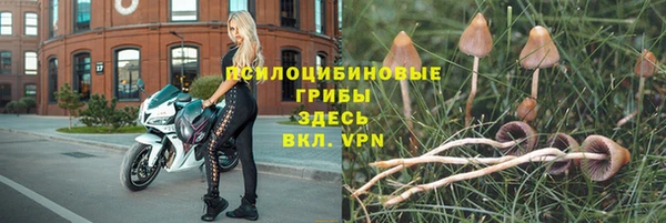 первитин Беломорск