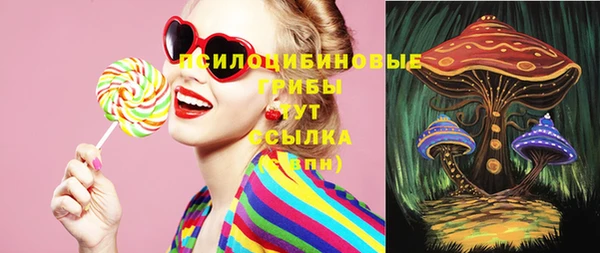 PSILOCYBIN Белокуриха
