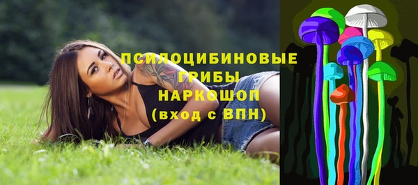 PSILOCYBIN Белокуриха