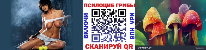Псилоцибиновые грибы Psilocybine cubensis  Курганинск 